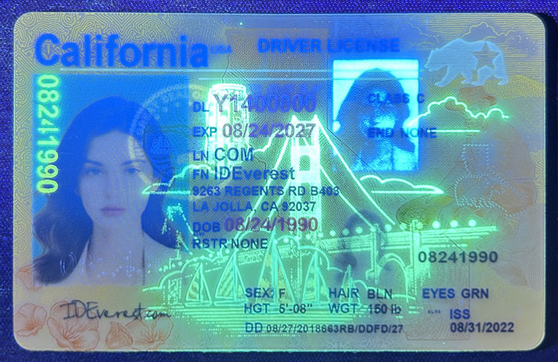 California Fake Driver License