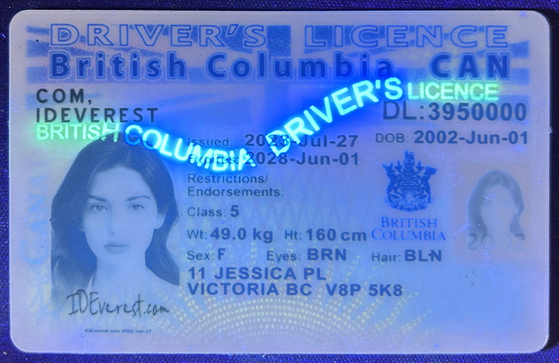 Buy British Columbia Fake ID Cards Online